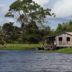 amazonia 20