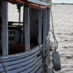 amazonia 5