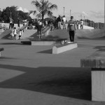IMG 0343