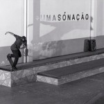 douglas molocope