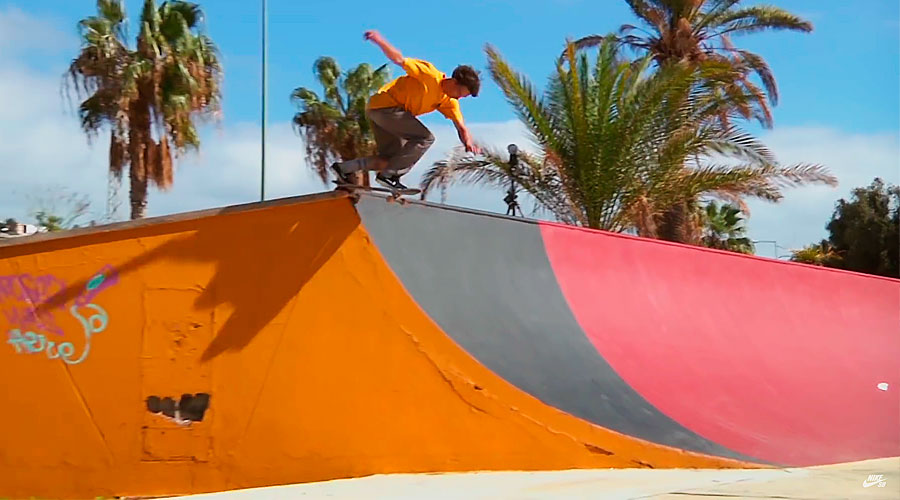 Daan Van Der Linden nike sb