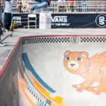 Vans Park Series