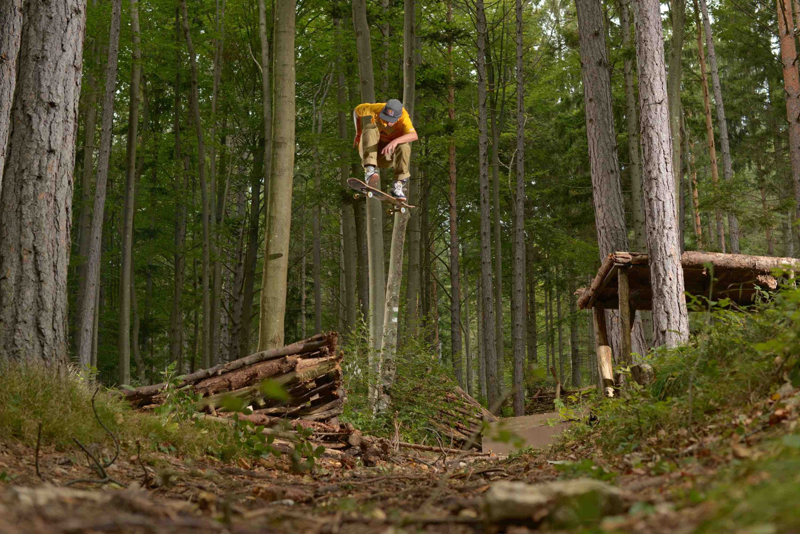 gustavo-ribeiro-hard-flip-magic-forest-julien-deniau Kopie