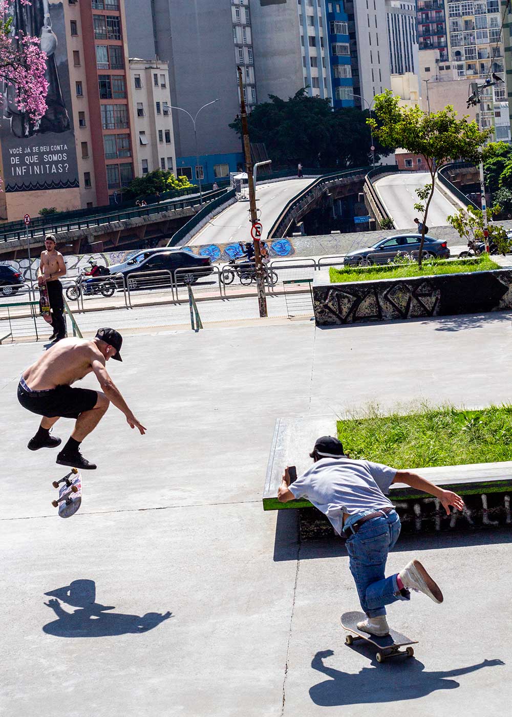 Apelao Flip